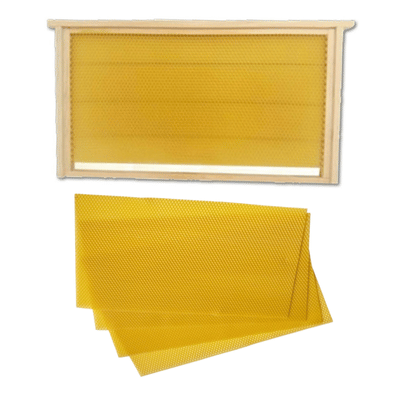 Temel Petek ve Bal Mumu